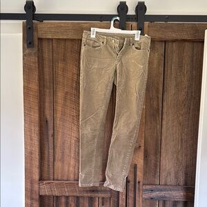 Patagonia everyday cords